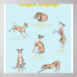 Whippet Language Print | Whippet Canvas