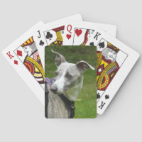 Whippet playing cards