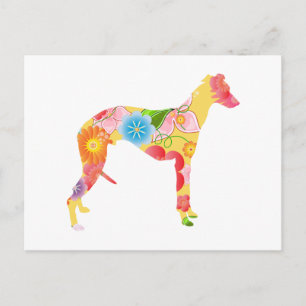 Whippet Postcard