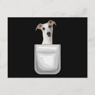 Whippet Puppy Dog In Your Pocket Postcard