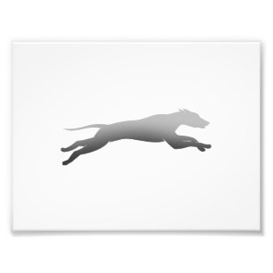 Whippet Running silhouette Photo Print