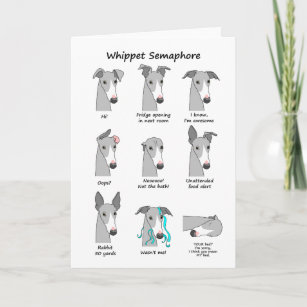 whippet merchandise