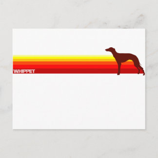 Whippet With Stripes Postcard