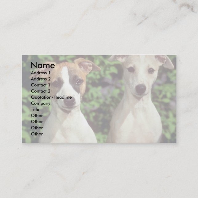Whippets Business Card (Front)