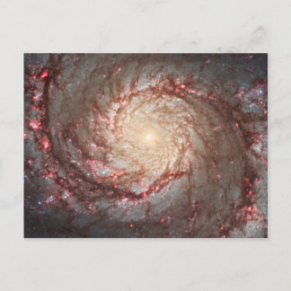 Whirlpool Galaxy Postcard