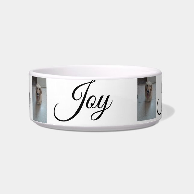 "Whisker Haven: Stylish and Practical Pet Bowls fo (Front)