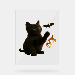 Whisker Hex & Lantern Glow Classic T-Shirt Acrylic Sign