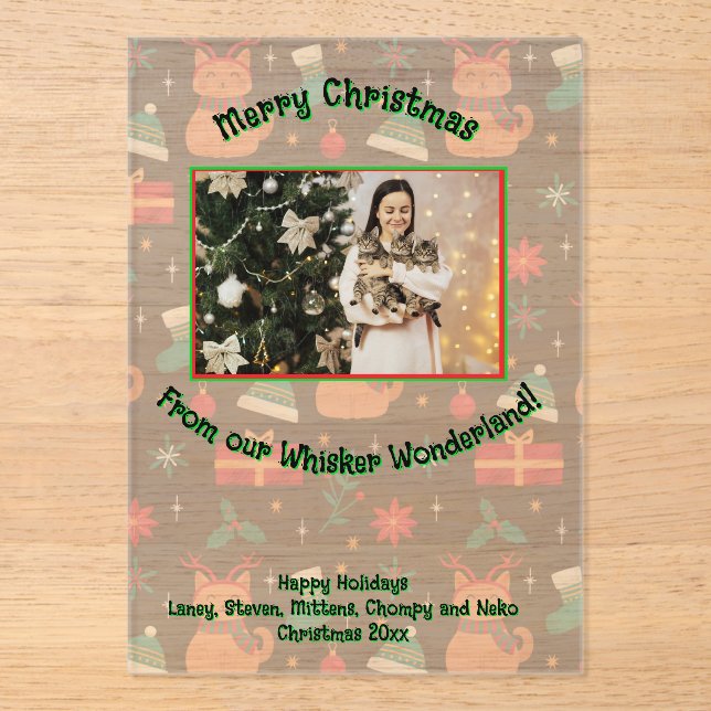 Whisker Wonderland Acrylic Photo Invitations (Front)