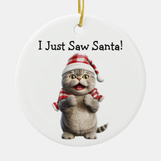 Whiskers and Winter Cheer Cat Ornament