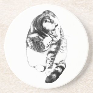 Whiskers at Rest Between Sips Coaster