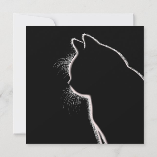 Whiskers in the Dark | Cat Whisker Silhouette Card (Front)