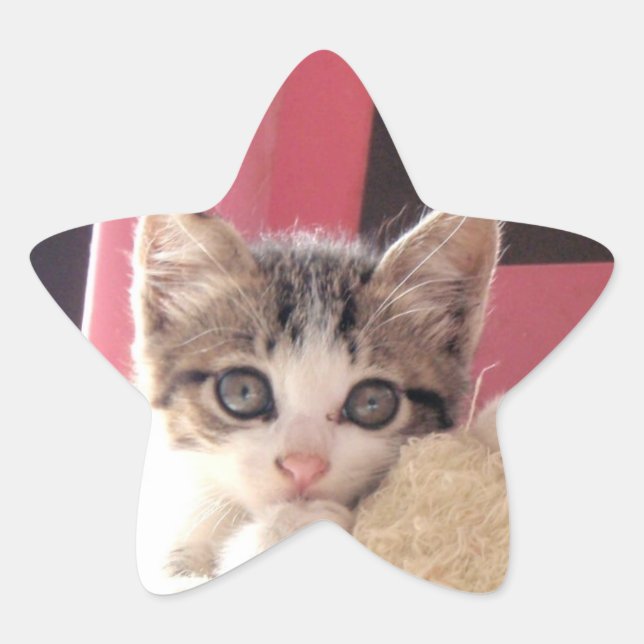 whiskers' kitten toy star stickers (Front)