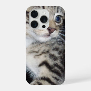 "Whiskers of Trouble: The Mischievous Tabby Kitten iPhone 15 Pro Case