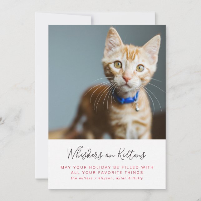 Whiskers on Kittens Christmas Photo Holiday Card (Front)