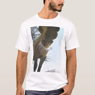 whiskery horse nose t-shirt