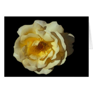 Whisky Mac Rose Card