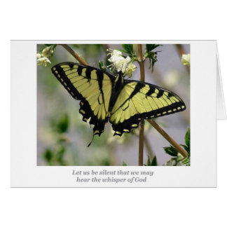 Whisper butterfly