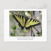 Whisper Butterfly