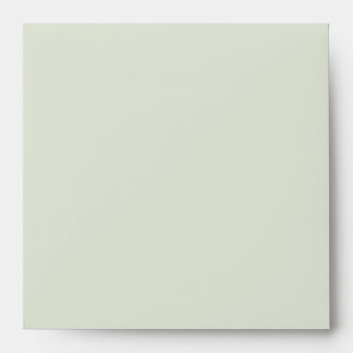 Whisper Green Solid Colour Envelope
