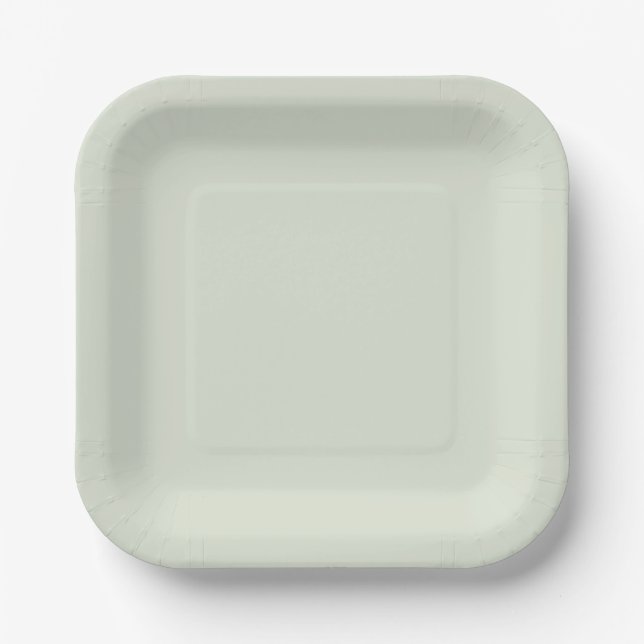Whisper Green Solid Colour Paper Plate (Front)