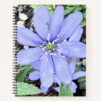 Whisper of the woods - lilac Wildflower in the for Notebook