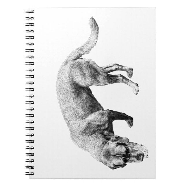 Whispered Trail Notes Notebook (Front)