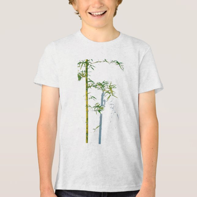 Whispering Bamboo Between Growth and Void Fragment Tri-Blend Shirt (Front)