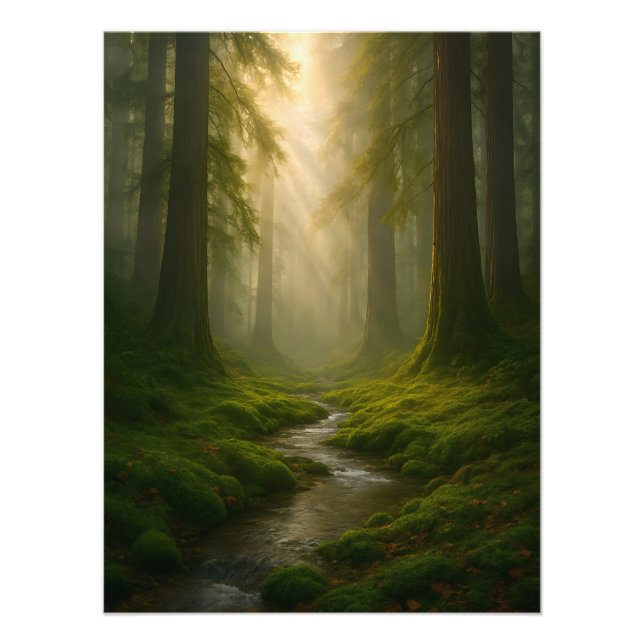Whispering Forest Photo Print (Front)