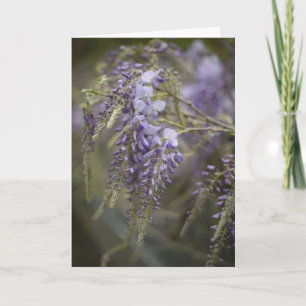 Whispering Wisteria   Nature Photography Blank Card