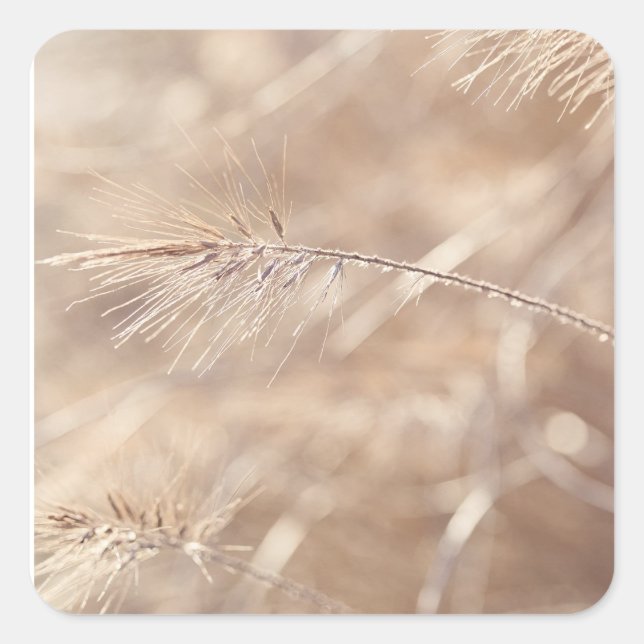 "Whispers of Nature's Beauty" Square Sticker (Front)