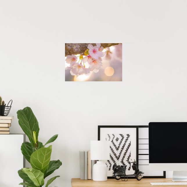 Whispers of Spring – Cherry Blossoms at Dusk Poster (Home Office)