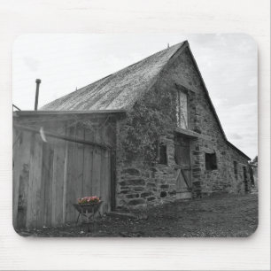 Whispers of the Past Mouse Mat