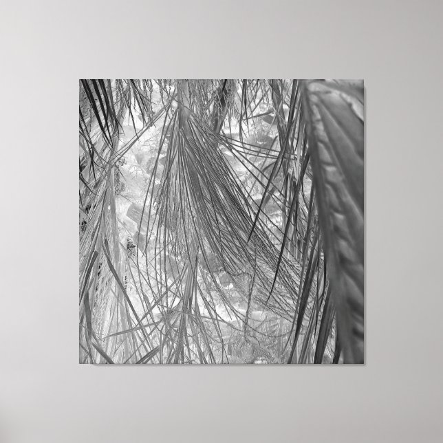 Whispers Of The Tropics Canvas Print (Front)