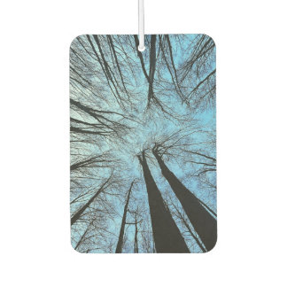 Whispers of the Whisper Forest Car Air Freshener