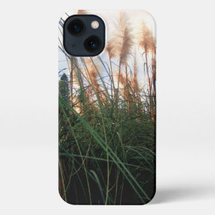 "Whispers of the Wind: The White Pampas Grasses" iPhone 13 Case