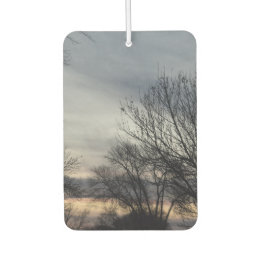 Whispers of Winter  Car Air Freshener