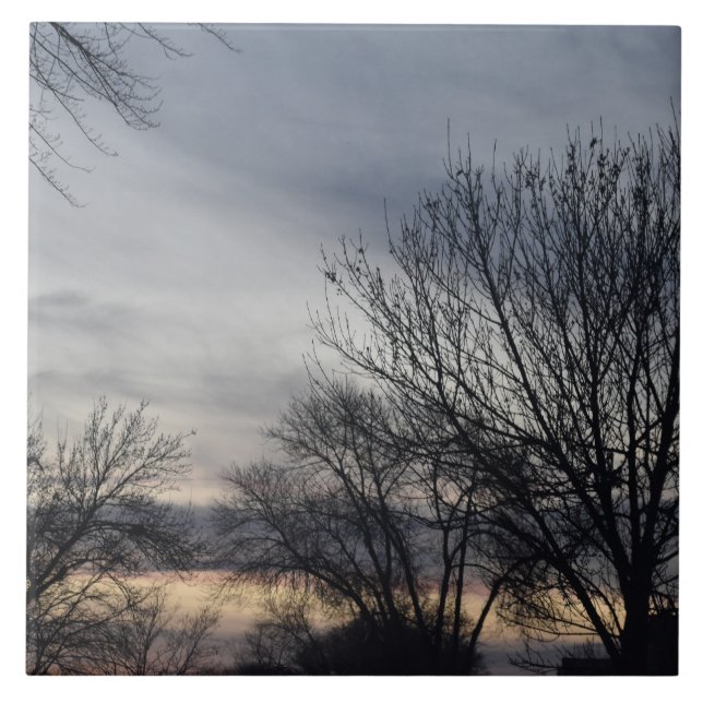 Whispers of Winter  Tile (Front)