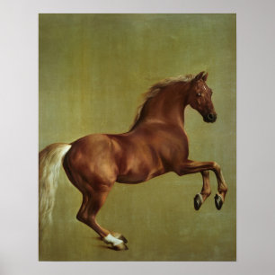 Whistlejacket, 1762 poster