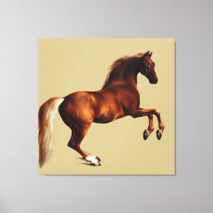 Whistlejacket horse by George Stubbs Canvas Print