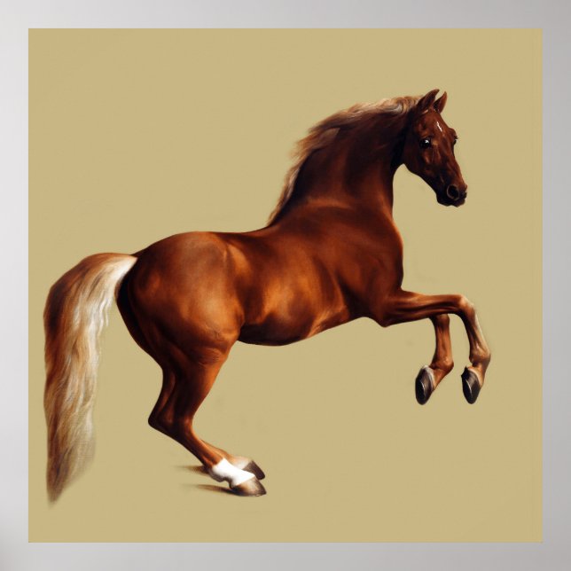 Whistlejacket horse by George Stubbs Poster (Front)