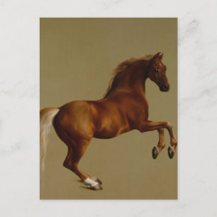 Whistlejacket Race Horse by George Stubbs Postcard