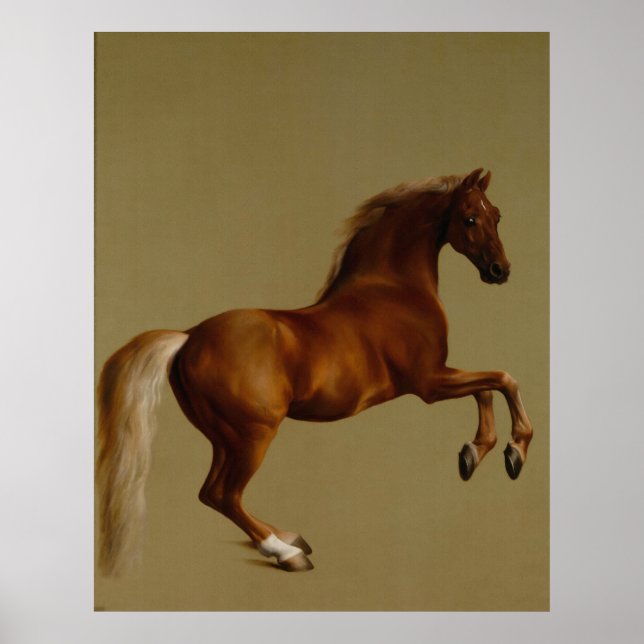 Whistlejacket Race Horse by George Stubbs Poster (Front)