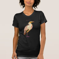 Whistling heron