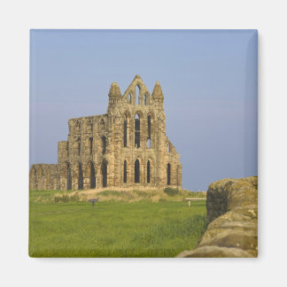 Whitby Abbey, Whitby, North Yorkshire, England Magnet