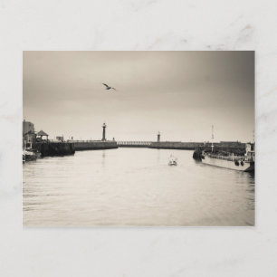 Whitby Harbour Postcard