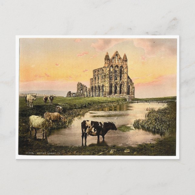 Whitby, the abbey, III., Yorkshire, England rare P Postcard (Front)