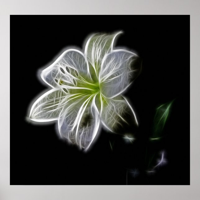 white-82698 white lily flower nature beauty digita poster (Front)