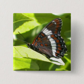 White Admiral Butterfly 15 Cm Square Badge
