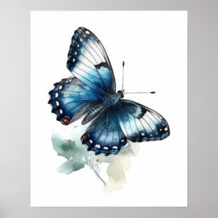 White Admiral Butterfly Art Print Poster