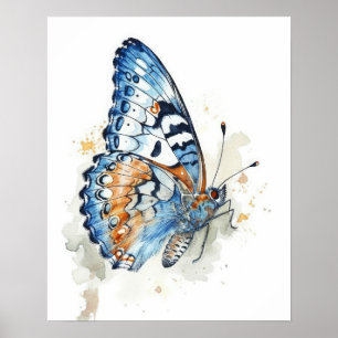 White Admiral Butterfly Art Print Poster